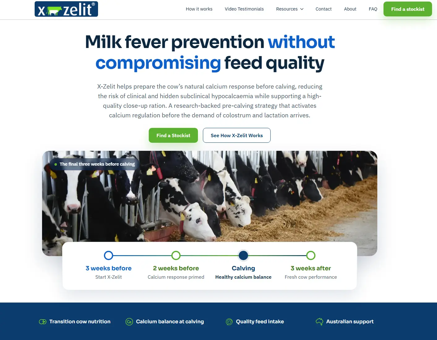 X-Zelit website home page with calving timeline